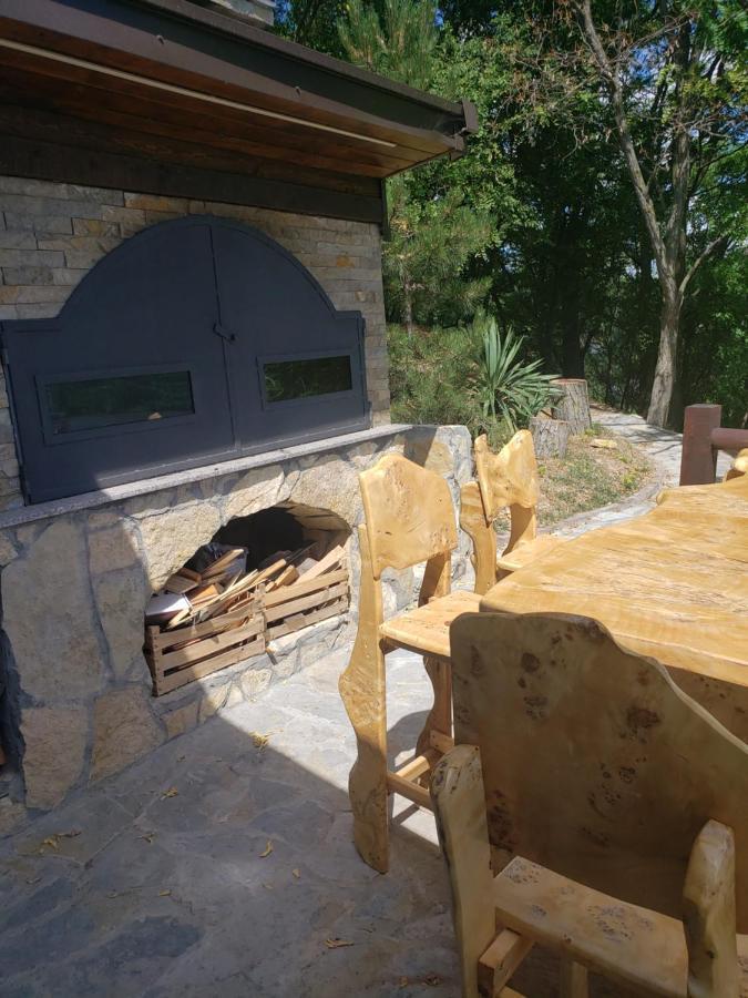 Vila Slankamenka Stari Slankamen Exterior foto